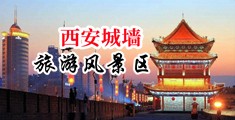 女生小穴被爆操射精子视频中国陕西-西安城墙旅游风景区
